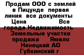 Продам ООО с землей в Пицунде, первая линия, все документы › Цена ­ 9 000 000 - Все города Недвижимость » Земельные участки продажа   . Ямало-Ненецкий АО,Губкинский г.